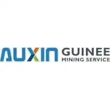 Auxin guinee - Logo Auxin guinee - Capcertification