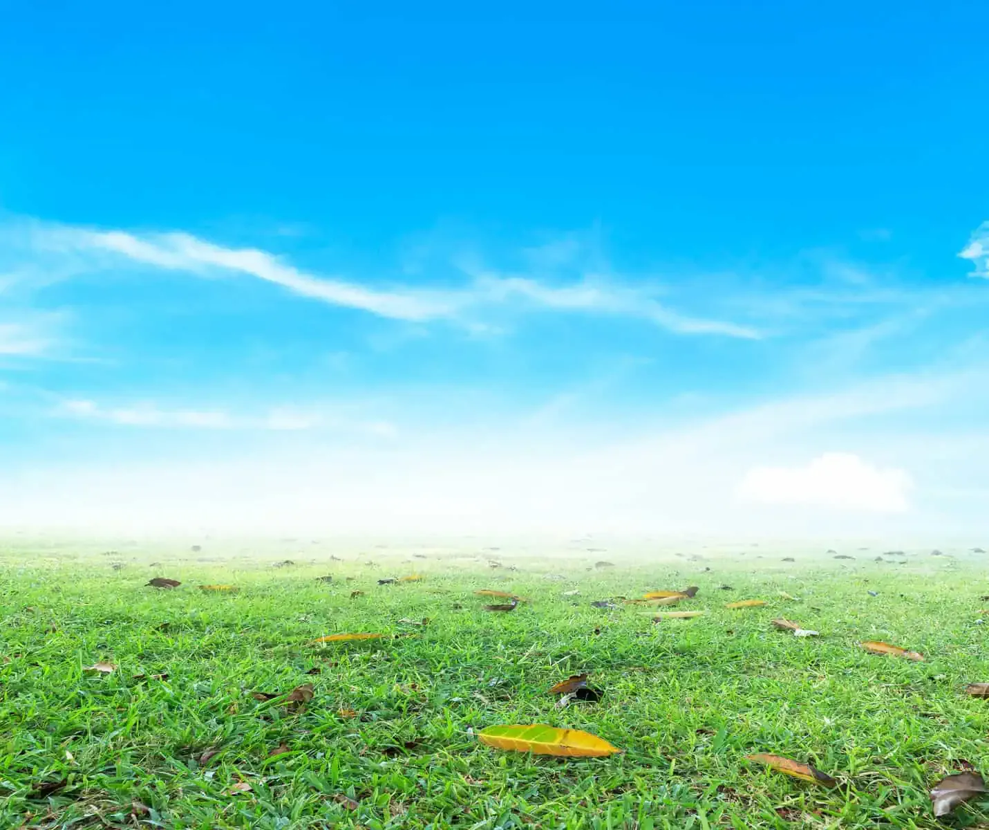 Déclaration RSE - Environnement - Capcertification