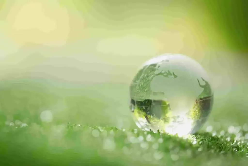 certification iso 14001 boule de cristal dans nature capcert